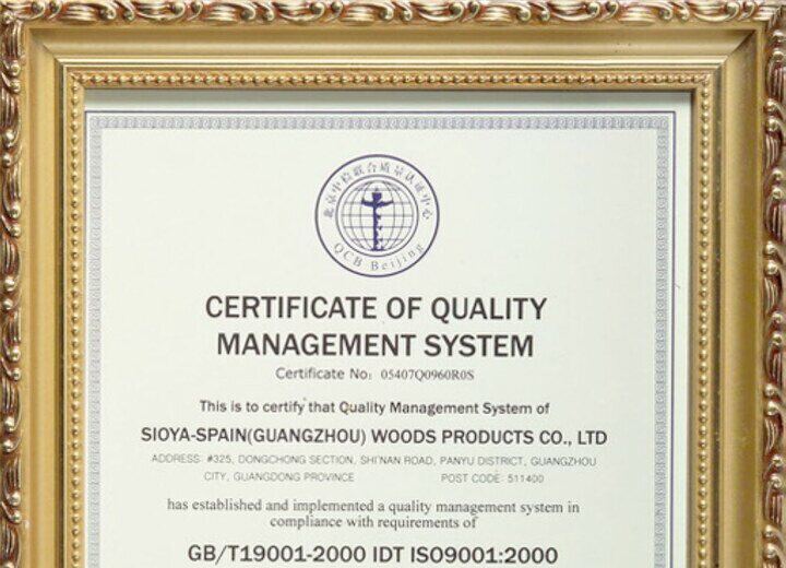 ISO9001 Quality Management